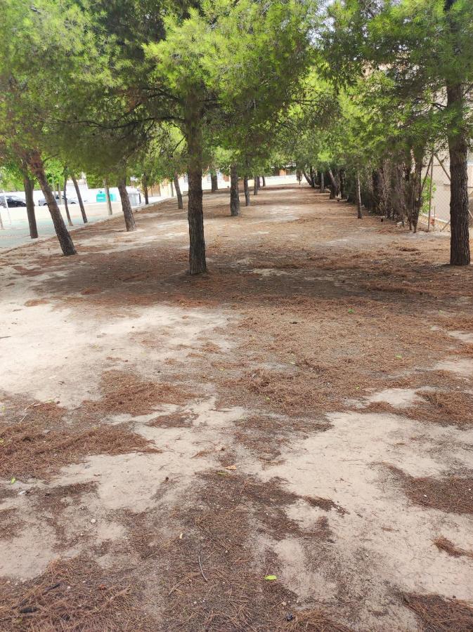 Apartamento Completo, Mascotas Aceptadas Arenales del Sol Eksteriør bilde