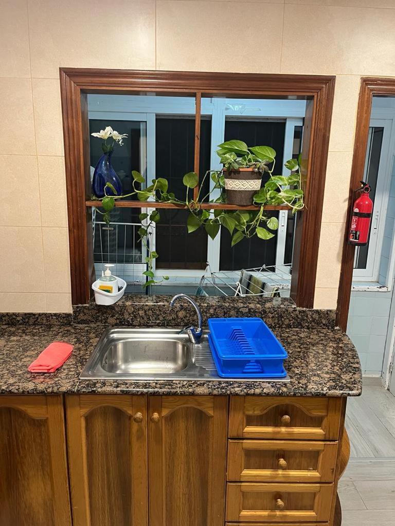 Apartamento Completo, Mascotas Aceptadas Arenales del Sol Eksteriør bilde